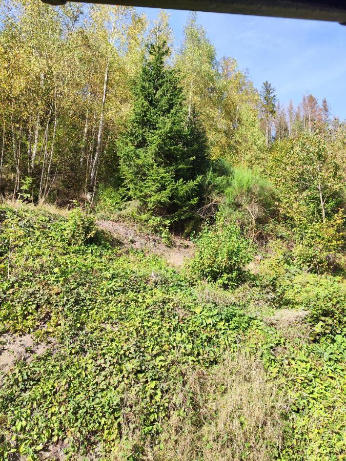 Wohlfuehloase Eifelsteig Villa Simmerath Eksteriør billede