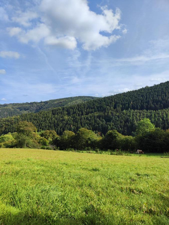 Wohlfuehloase Eifelsteig Villa Simmerath Eksteriør billede