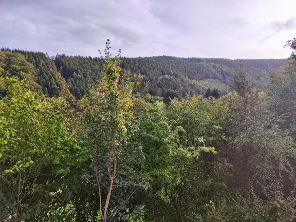 Wohlfuehloase Eifelsteig Villa Simmerath Eksteriør billede